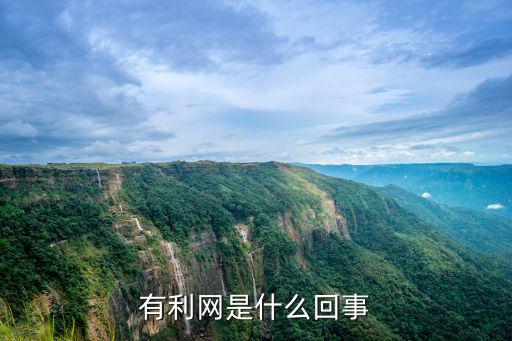 有利網(wǎng)是什么回事