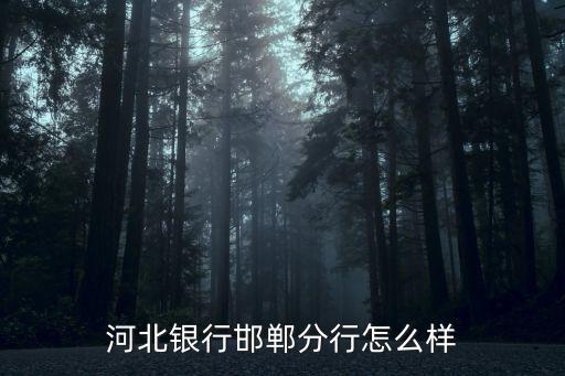 河北銀行邯鄲分行怎么樣