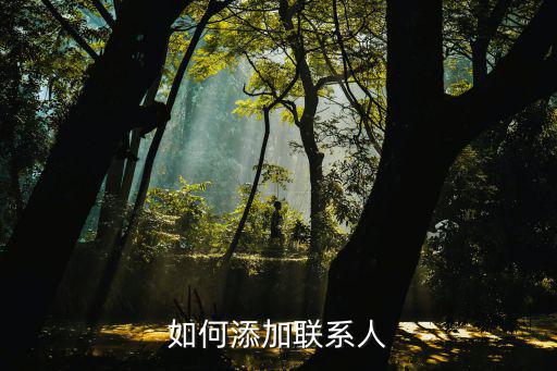 如何添加聯(lián)系人