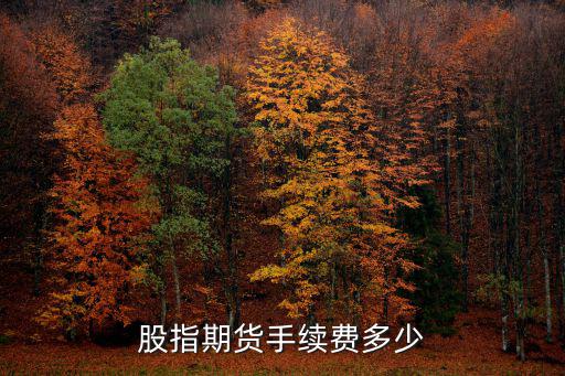 股指期貨手續(xù)費(fèi)多少