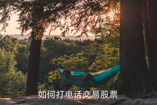 股票電話委托怎么操作，如何打電話交易股票