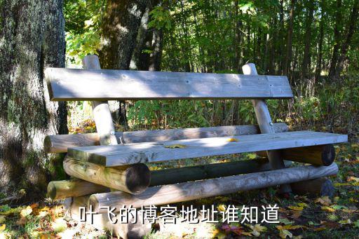 葉飛炒股到底怎么樣，葉飛的博客地址誰知道