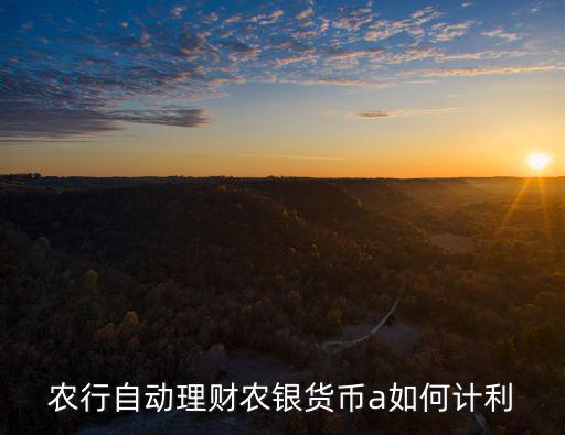 農(nóng)行自動理財農(nóng)銀貨幣a如何計利