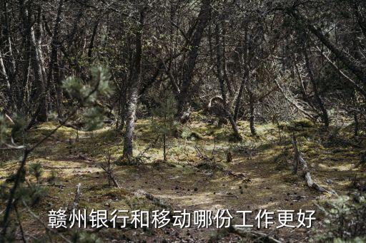 贛州銀行和移動(dòng)哪份工作更好