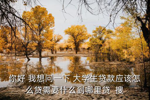 你好 我想問一下 大學(xué)生貸款應(yīng)該怎么貸需要什么到哪里貸  搜