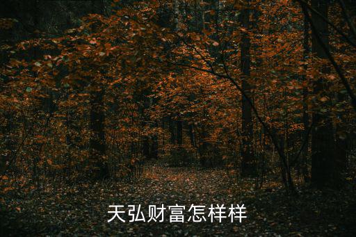 天弘財富怎樣樣