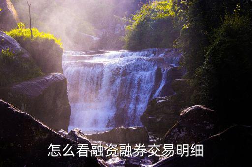 怎么看融資融券交易明細
