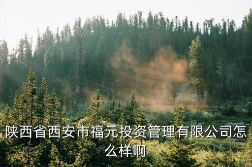 西安市投資公司怎么樣，西安市城市投資公司待遇怎么樣