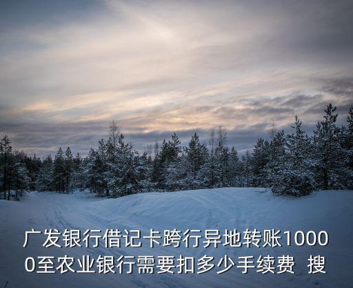 廣發(fā)銀行借記卡跨行異地轉(zhuǎn)賬10000至農(nóng)業(yè)銀行需要扣多少手續(xù)費(fèi)  搜