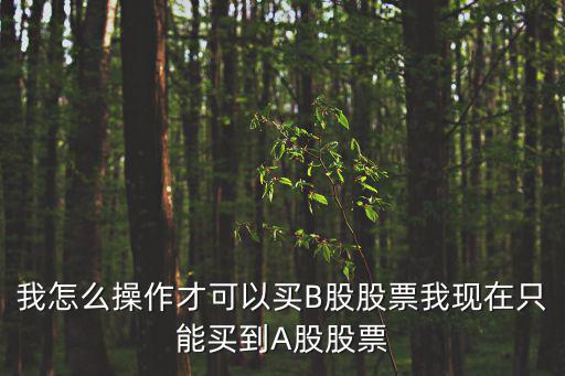 怎么購買b股，中國普通股民怎么買賣B股在A股上市的要求是不是很高