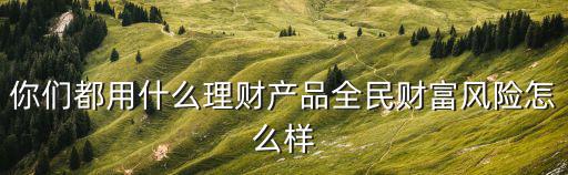 你們都用什么理財產(chǎn)品全民財富風(fēng)險怎么樣