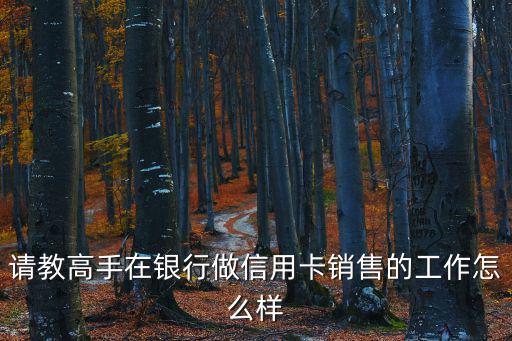 請教高手在銀行做信用卡銷售的工作怎么樣