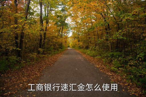 工商銀行速匯金怎么使用