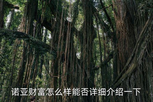 諾亞財(cái)富怎么樣能否詳細(xì)介紹一下