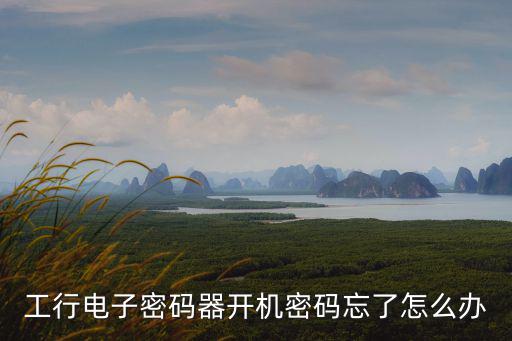 工行電子密碼器開機(jī)密碼忘了怎么辦