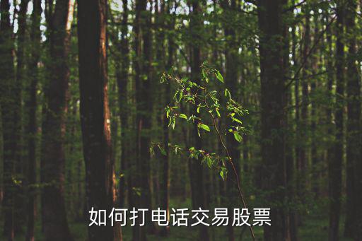 如何打電話交易股票