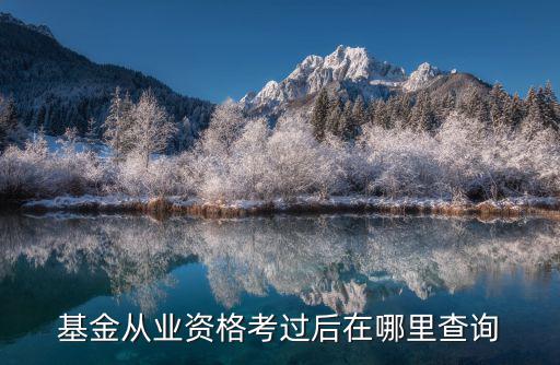 基金從業(yè)資格考過后在哪里查詢