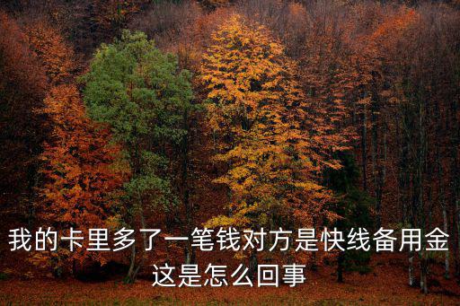 建行備用金怎么查詢，建行備用金解釋