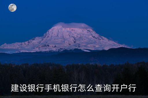 建設(shè)銀行手機(jī)銀行怎么查詢開(kāi)戶行