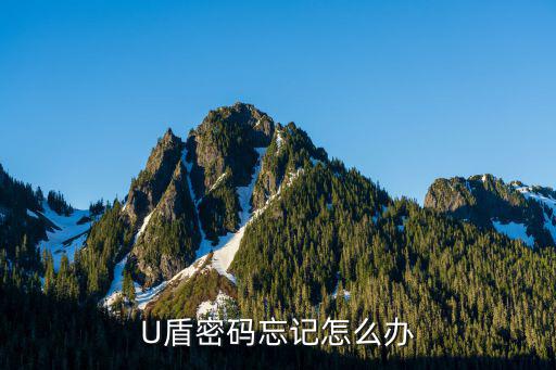 u盾密碼忘了怎么找回，U盾忘記了密碼怎么辦
