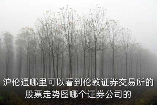 滬倫通哪里可以看到倫敦證券交易所的股票走勢(shì)圖哪個(gè)證券公司的