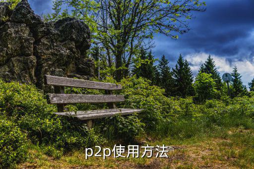 p2p網(wǎng)絡控制怎么用，P2P的使用方法