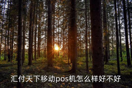 匯付天下移動(dòng)pos機(jī)怎么樣好不好