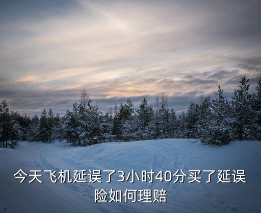 今天飛機延誤了3小時40分買了延誤險如何理賠