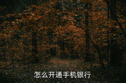 怎么開(kāi)通手機(jī)銀行