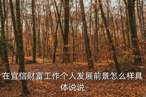 在宜信財富工作個人發(fā)展前景怎么樣具體說說