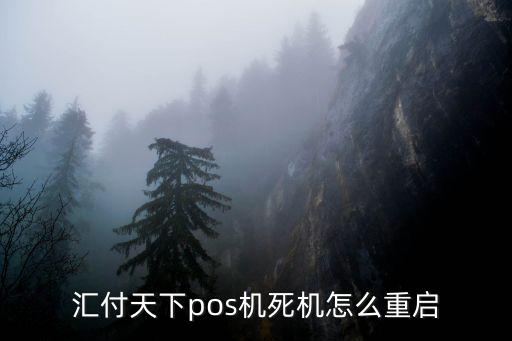 匯付天下pos機(jī)死機(jī)怎么重啟