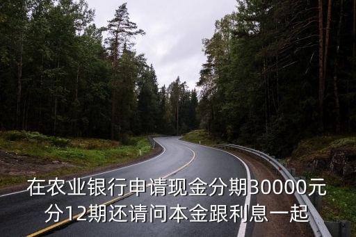 在農業(yè)銀行申請現金分期30000元分12期還請問本金跟利息一起