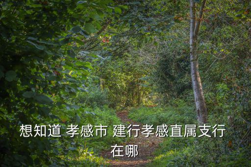 想知道 孝感市 建行孝感直屬支行 在哪