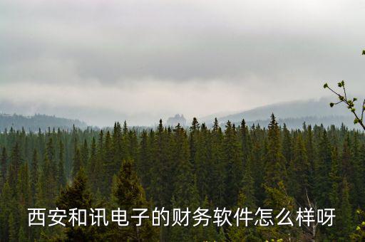和訊理財(cái)客怎么樣，西安和訊電子的財(cái)務(wù)軟件怎么樣呀