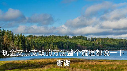 現(xiàn)金支票支取的方法整個流程都說一下謝謝