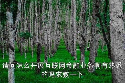 請問怎么開展互聯(lián)網(wǎng)金融業(yè)務(wù)啊有熟悉的嗎求教一下