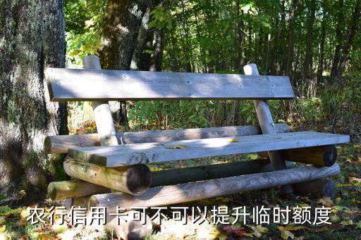 農(nóng)行信用卡可不可以提升臨時額度
