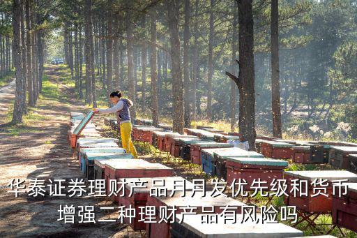 華泰證券理財(cái)產(chǎn)品月月發(fā)優(yōu)先級和貨幣增強(qiáng)二種理財(cái)產(chǎn)品有風(fēng)險(xiǎn)嗎