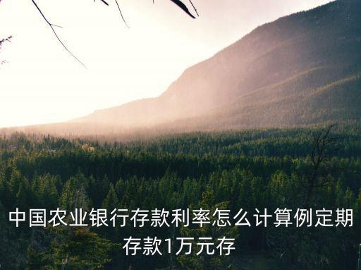 中國農(nóng)業(yè)銀行存款利率怎么計算例定期存款1萬元存