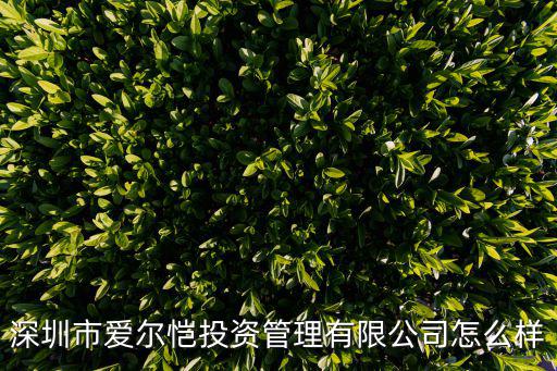 深圳市愛爾愷投資管理有限公司怎么樣