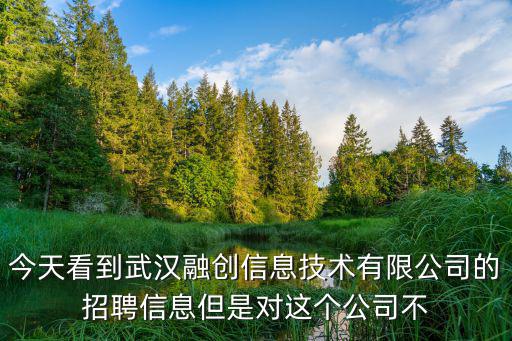 今天看到武漢融創(chuàng)信息技術(shù)有限公司的招聘信息但是對(duì)這個(gè)公司不