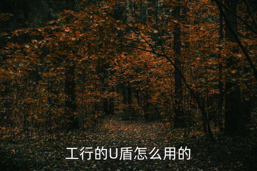 工行的U盾怎么用的