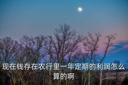 農(nóng)業(yè)銀行定期怎么掙錢，現(xiàn)在錢存在農(nóng)行里一年定期的利潤怎么算的啊