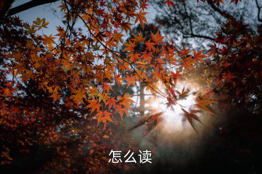 怎么讀