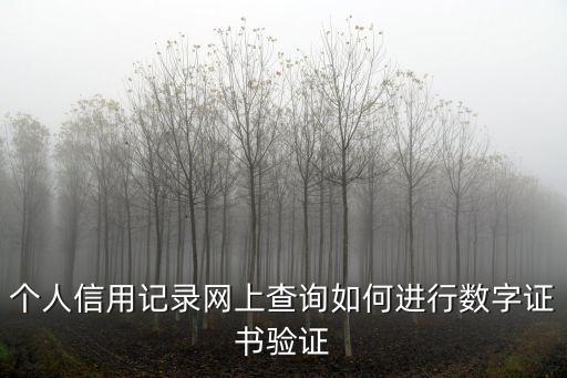 個人信用記錄網(wǎng)上查詢?nèi)绾芜M(jìn)行數(shù)字證書驗證