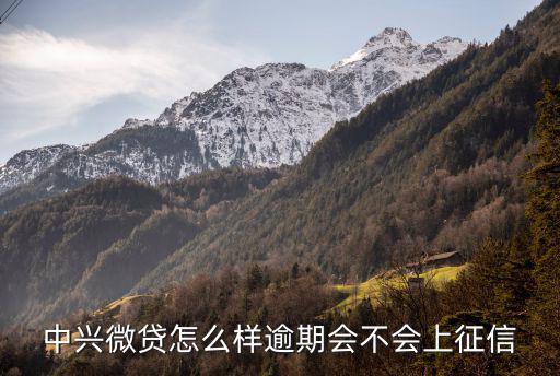 深圳中興微貸怎么樣，中興微貸和宜信哪個好