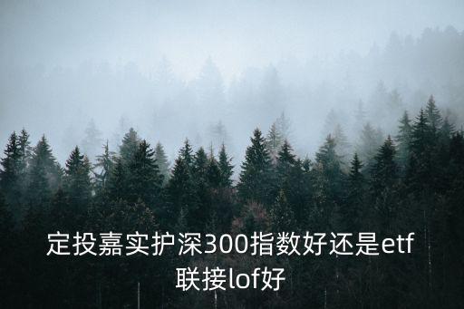 定投嘉實(shí)護(hù)深300指數(shù)好還是etf聯(lián)接lof好