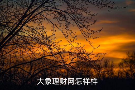 大象理財網(wǎng)怎樣樣