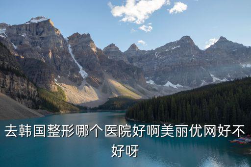 去韓國整形哪個醫(yī)院好啊美麗優(yōu)網(wǎng)好不好呀