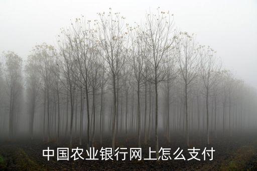 中國農(nóng)業(yè)銀行網(wǎng)上怎么支付